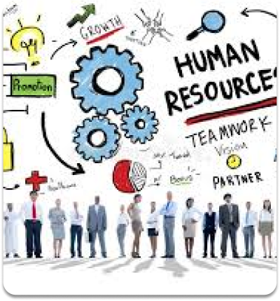 Human Resource